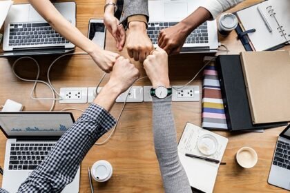 Factors that contribute to the success of a startup