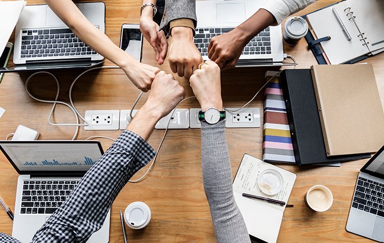 Factors that contribute to the success of a startup