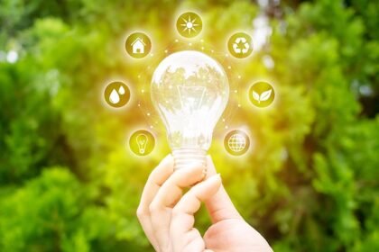 Smart ideas to promote business sustainability
