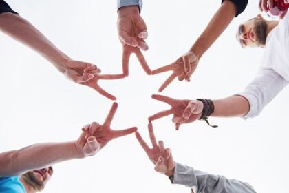 The importance of trust in the organizations