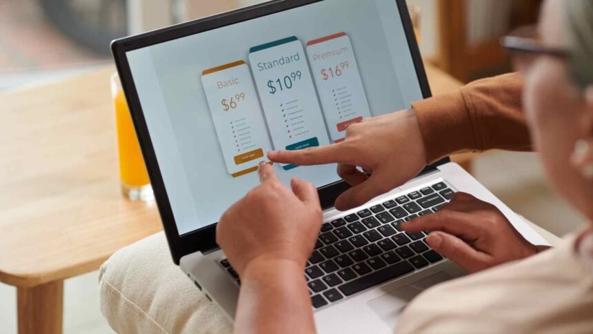 Subscription-Based Business Models in Lifestyle Startups