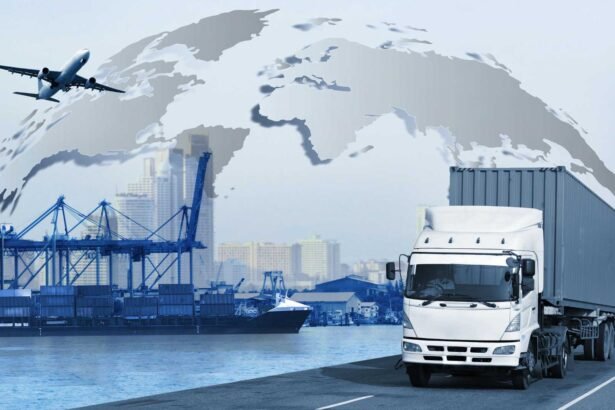 The Role of Transportation Network Companies (TNCs) in Urban Mobility